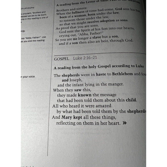 Workbook for Lectors, Gospel Readers & Proclaimers of the Word 2020 & 2022 - Picture 6 of 11